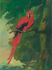 Tom Ellis, "The Red Macaw V3.", 2010, Öl auf Leinwand