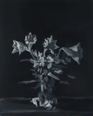 Tom Ellis, "Flowers I", 2010, Acryl auf Leinwand