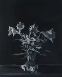 Tom Ellis, "Flowers I", 2010, Acryl auf Leinwand