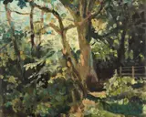David Gauld, SUMMER WOODLAND, oil on canvasboard