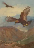 Archibald Thorburn, GOLDEN EAGLES OVER GAICK