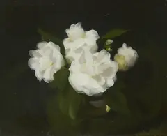 Stuart Park, STILL LIFE OF WHITE ROSES, oil on canvas