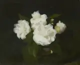 Stuart Park, STILL LIFE OF WHITE ROSES, oil on canvas