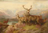 James Giles, STAGS AND DEER ON A MOUNTAINSIDE, oil on canvas