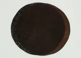 Philip Reeves, RIDDLE, Etching, 8/10