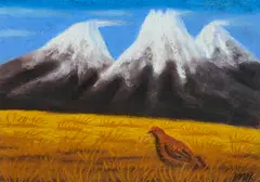Jack Knox, MOUNTAINS & GROUSE, ' pastel on dark paper