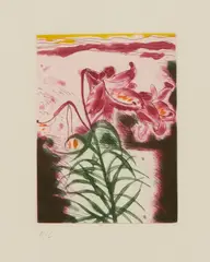 LILY by Elizabeth Blackadder, 1999, Etching and spit-bitten aquatint, H/C, aside from the edition of 100, editioned in pencil to margin, published by Glasgo, sold Mar 2026