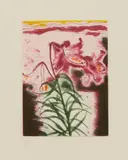 Elizabeth Blackadder, LILY, 1999, Etching and spit-bitten aquatint, H/C, aside from the edition of 100, editioned in pencil to margin, published by Glasgow Print Studio