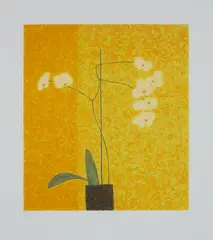 Abigail McLellan, MOTH ORCHID, 1999, Screenprint, 60/80