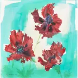 Jenny Matthews, RED POPPIES, watercolour