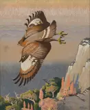 Keith Henderson, CRESTED EAGLE, SWAZILAND, pastel