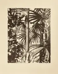 Anne Desmet, EDINBURGH BOTANICAL GARDENS DURING THE FESTIVAL, Lithograph, 12/12