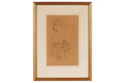 Cecil Aldin, Studies of a Sealyham Terrier, pencil drawing