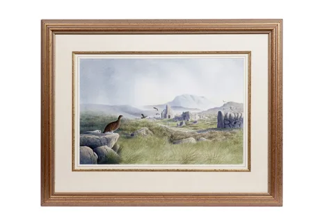 Philip Snow, Mountain & Moorland - Red Grouse, watercolour