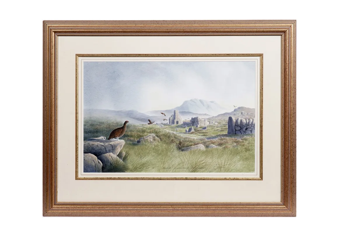 Philip Snow, Mountain & Moorland - Red Grouse, watercolour