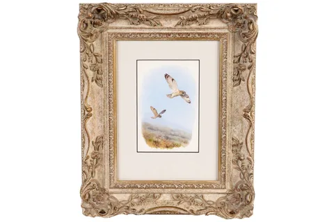 Rodger McPhail, Short Eared Owls, watercolour