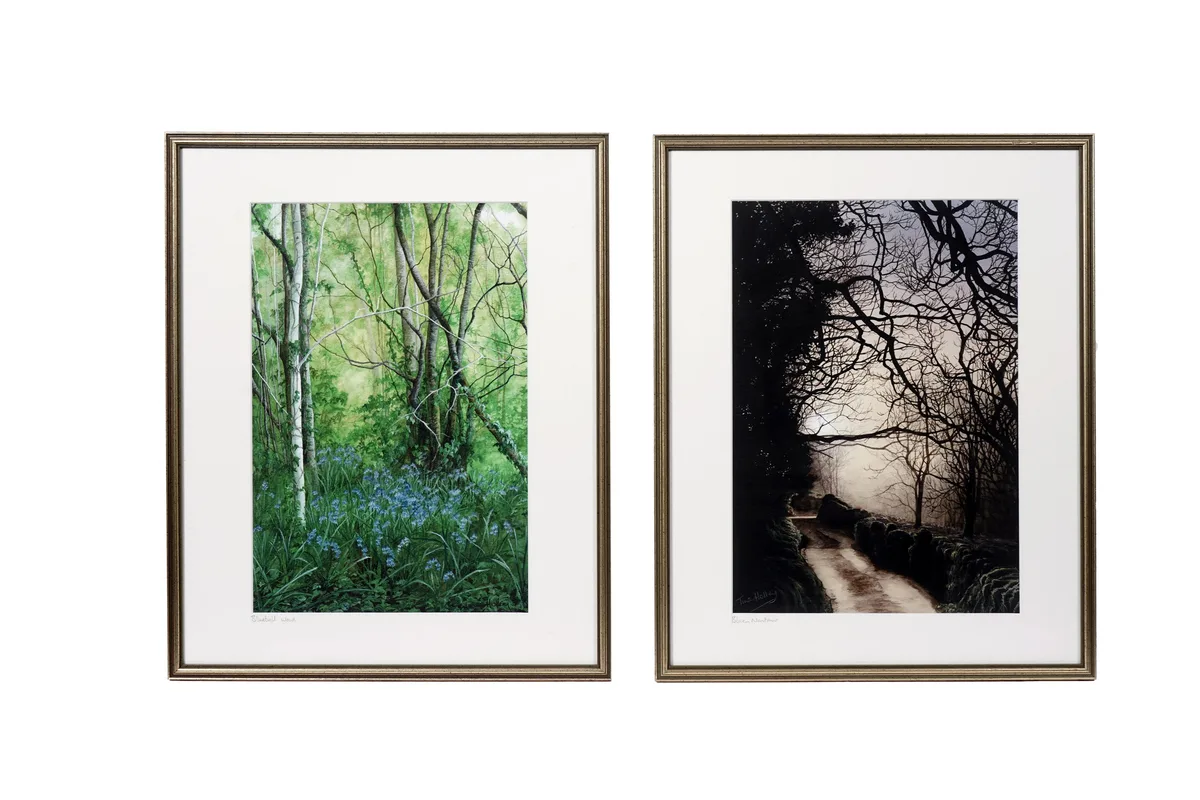 Bluebell Wood & Blaen Nantmor by Tina Holley, watercolour, sold Sep 2026
