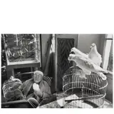Henri Cartier-Bresson, Henri Matisse, Vence, France