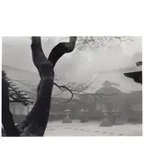 Paul Caponigro, Temple Hiei-San, Kyoto, Japan