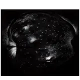 Paul Caponigro, Galaxy Apple, New York City