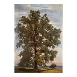 William Thompson Russell Smith, The 'Fox Poplar', 1850, oil on paper board