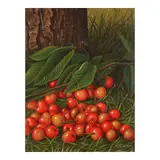 Levi Wells Prentice, Cherries, oil on canvas