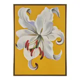 Lowell Nesbitt, White Lily on Gold