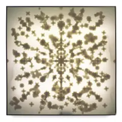 Tara Donovan, Untitled, 2004, mylar stickers and lightbox