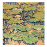 Maria del Carmen Calvo, December Morning (Water Lilies Study #38), 1988, oil on canvas
