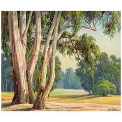 Paul Grimm, Eucalyptus, oil on canvasboard