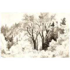 Gene Kloss, Grove of Trees, pen and ink wash on paper