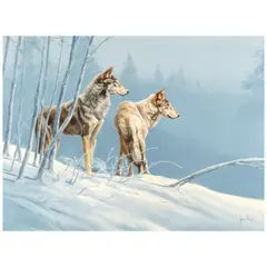 Spencer Hodge, Two Coyotes, oil on canvas