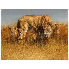 Gary R. Swanson, Lioness and Five Cubs, oil on Masonite