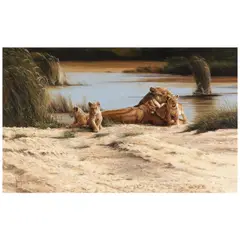 Spencer Hodge, The Waterhole, oil on canvas