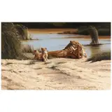 Spencer Hodge, The Waterhole, oil on canvas