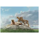 Spencer Hodge, Cheetah Family, oil on canvas