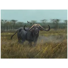 Michael Coleman, Record Cape Buffalo, 1989, oil on Masonite