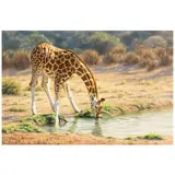 Krystii Melaine, Drinking Alone, Giraffe, 2000, oil on canvasboard