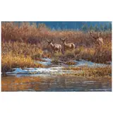 John Banovich, Cautious Approach, oil on canvas