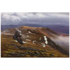 Eagle Soaring Over a Landscape by John Black, 2000, oil on canvas, offered Jul 2026
