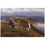 John Black, Eagle Soaring Over a Landscape, 2000, oil on canvas