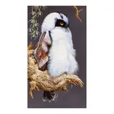 David Ord Kerr, Immature Spectacled Owl, oil on panel