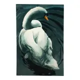 William G. Garbe, Untitled (Swan III), 1984, watercolor and pencil on paper