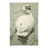 William G. Garbe, Untitled (Swan I), 1980, watercolor and pencil on paper