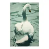 William G. Garbe, Untitled (Swan V), 1984, watercolor and pencil on paper