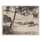 John Melville Kelly, Kauai Coconuts, Hawaii, c. 1930, Etching on wove paper