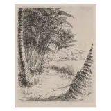 Huc-Mazelet Luquiens, Untitled (Coconut Palms), 1920, Etching and drypoint on wove paper, faintly signed in pencil