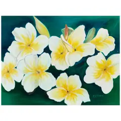 Patricia, Plumeria, oil on canvas