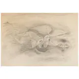 Homeward Angel by Lucretia Van Horn, circa 1930, graphite on paper, sold Jun 2026