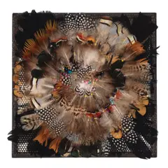 Beatriz Cortez, Four Point Feather Shield, 2023, steel, pheasant and chicken feathers and cotton cordon